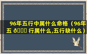 96年五行中属什么命格（96年五 🐈 行属什么,五行缺什么）